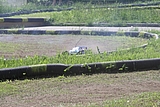 IMG_9794.JPG