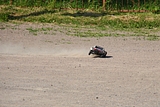 IMG_0162.JPG